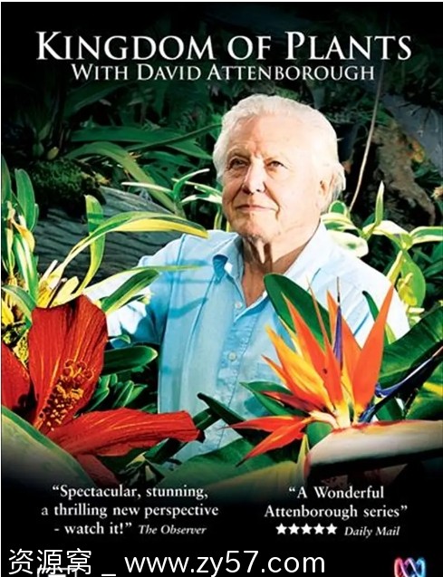 英国纪录片《植物王国》2012版 豆瓣评分9.5 资源分享 - 零零盘