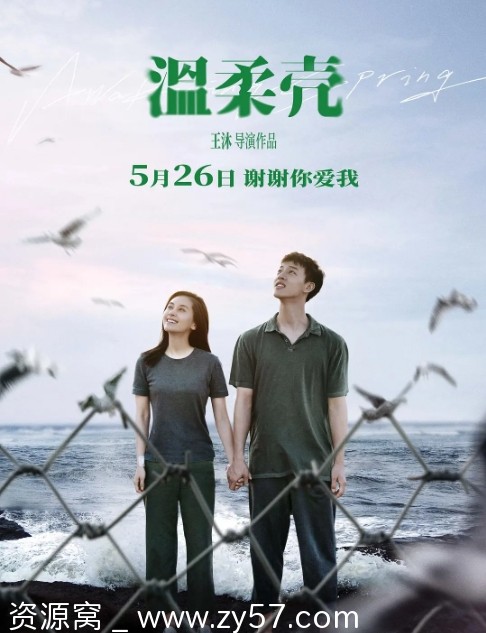 温柔壳电影海报