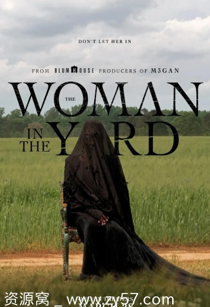 院子里的女人电影海报