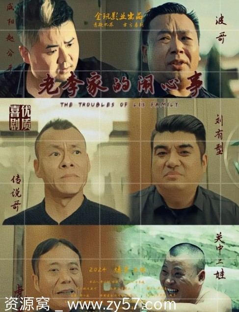 老李家的闹心事海报