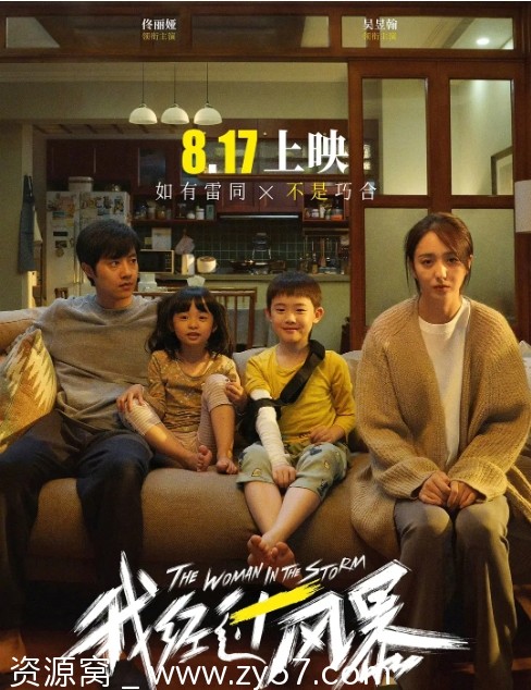 我经过风暴电影海报