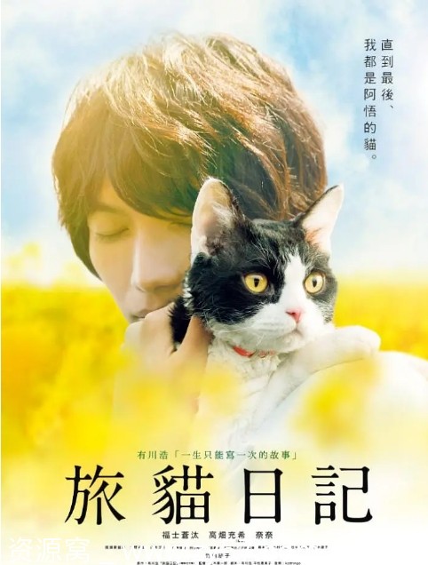 日本电影《旅猫日记》2018剧情解析 豆瓣评分7.4 - 零零盘