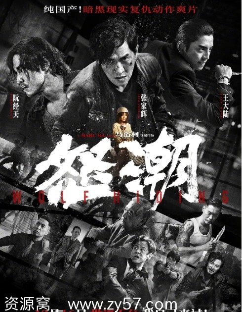 免费观看电影剧情/动作/悬疑/犯罪《怒潮》（2023）高清在线 - 零零盘