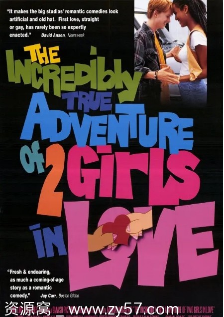 双姝奇恋电影海报