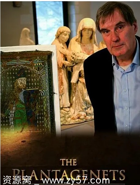 金雀花王朝海报