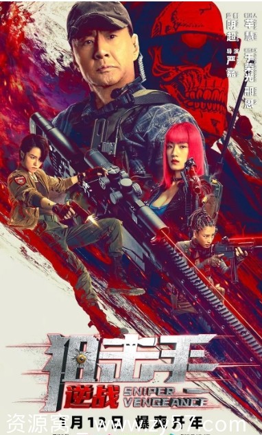 电影资源分享 动作/冒险巨制《狙击手：逆战》（2023年）高清下载 - 零零盘