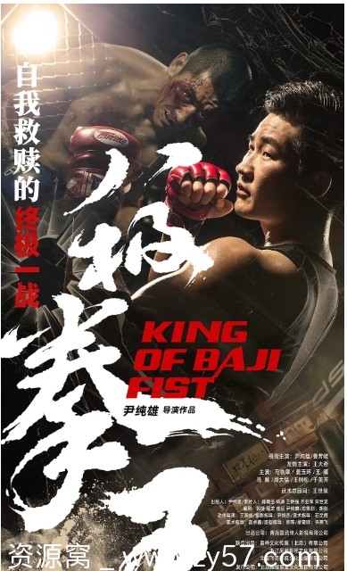 八极拳王电影海报