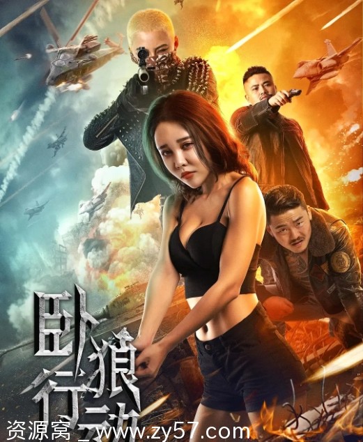 电影动作片 卧狼行动（2023）高清完整版在线观看 - 零零盘