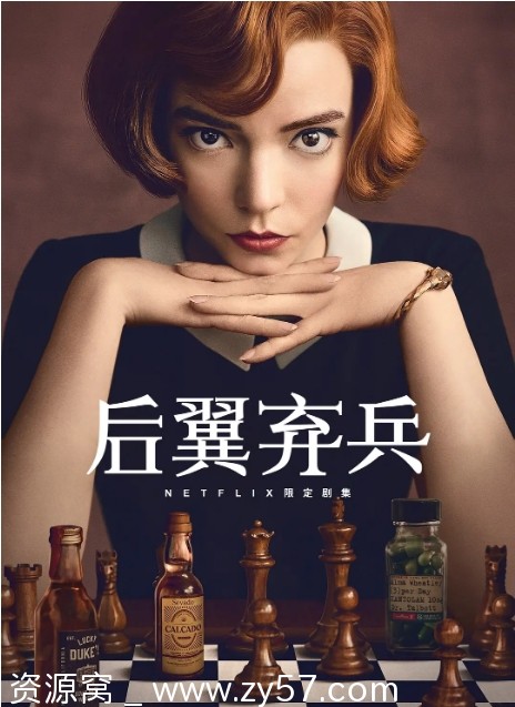 美剧后翼弃兵2020剧情解析 豆瓣评分9.0推荐 - 零零盘