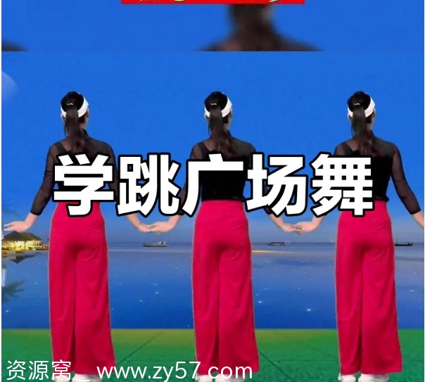 《广场舞视频教学大全500首高清教程》免费分享 - 零零盘