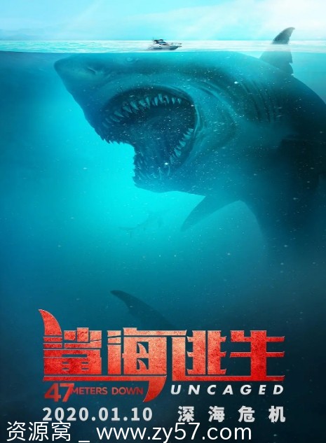 鲨海逃生电影海报