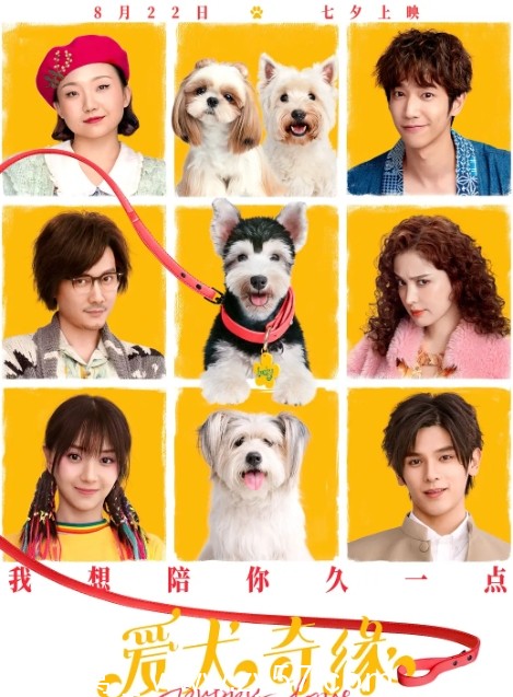 爱犬奇缘电影海报