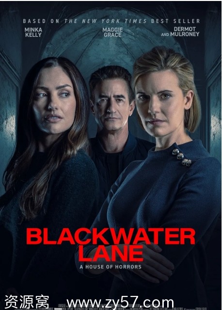 黑水巷电影海报