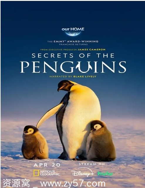 美国纪录片《企鹅之谜》（2025）高清资源分享 - 零零盘