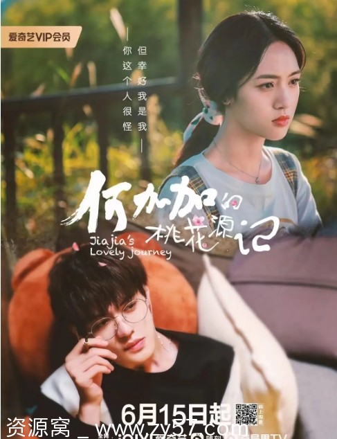 何加加的桃花源记海报