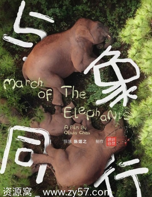 纪录片推荐国内高清纪录片《与象同行》(2022)在线观看 - 零零盘