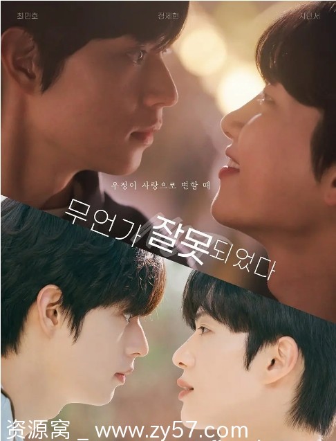 韩剧2025年热门剧集《哪里出错了》剧情解析 同性题材深度解析 - 零零盘