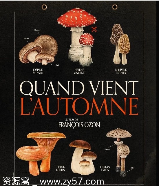 法国电影《秋日何时来》2024剧情解析 豆瓣评分8.0 - 零零盘