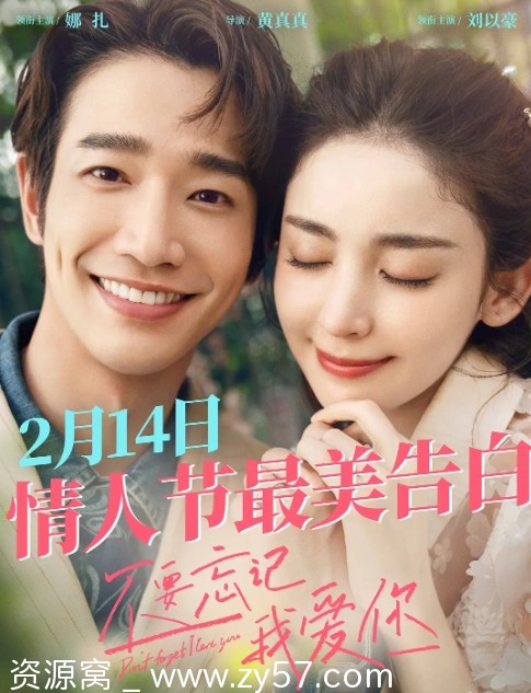 不要忘记我爱你电影海报