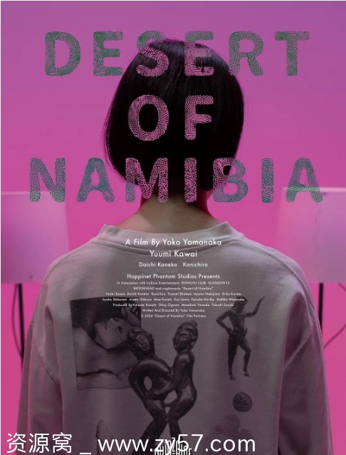 纳米比亚的沙漠电影海报