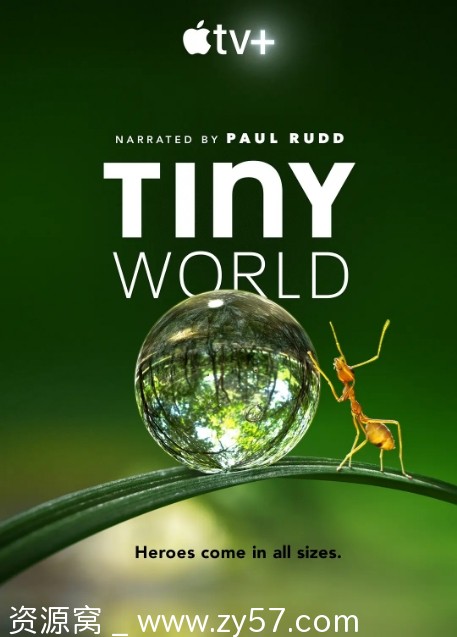 小小世界海报