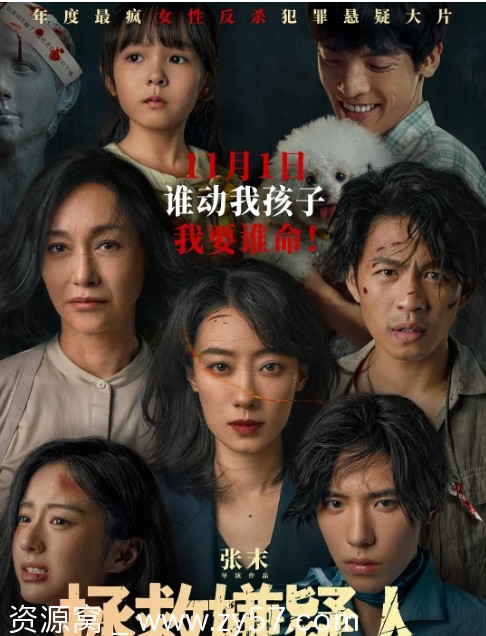 拯救嫌疑人电影海报