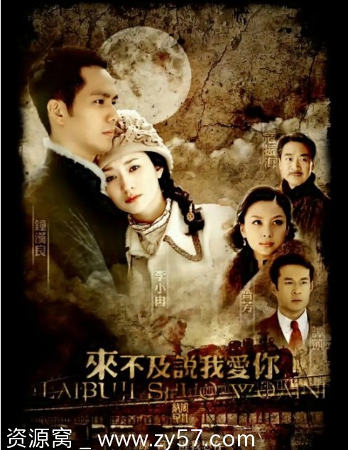 来不及说我爱你海报