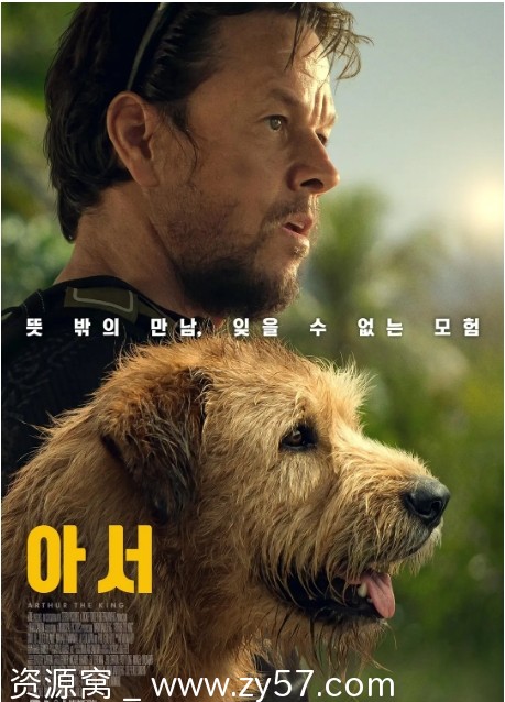 美国电影《冠军亚瑟》（2024）剧情解析/冒险题材推荐 豆瓣评分7.3 - 零零盘