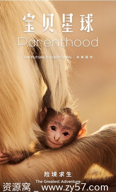 宝贝星球海报
