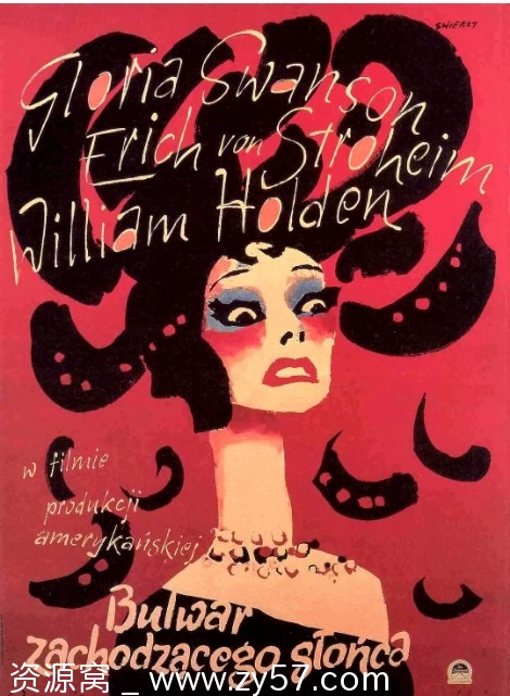 美国电影《日落大道》（1950）剧情解析/经典黑色电影推荐 豆瓣评分8.8 - 零零盘