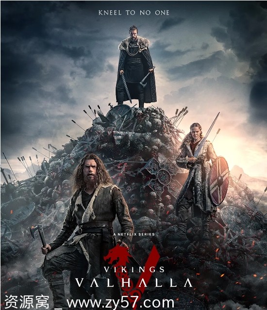 爱尔兰热门剧集《维京传奇：英灵神殿》1-3季全集下载 - 零零盘