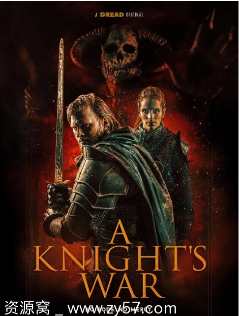 骑士的战争海报