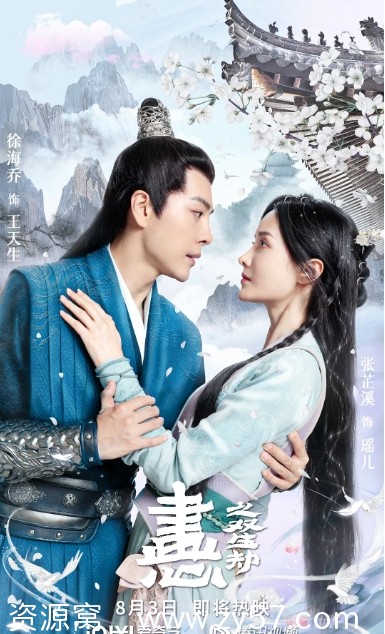 画心之双生劫海报