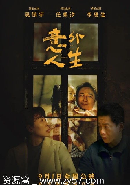 意外人生电影海报