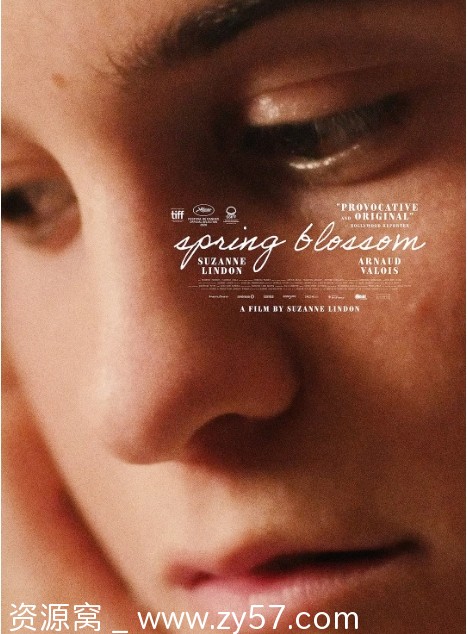 十六个春天电影海报