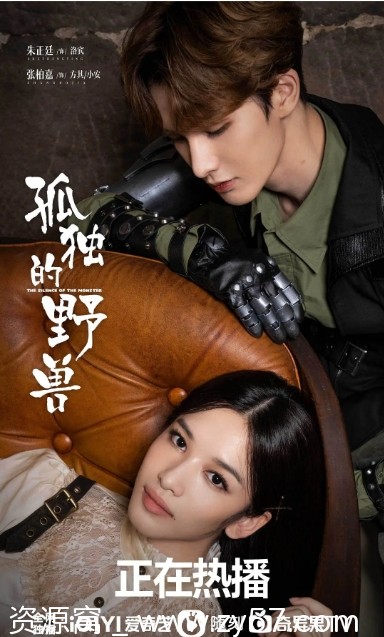 电视剧分享 爱情剧《孤独的野兽》2022版高清全集 - 零零盘