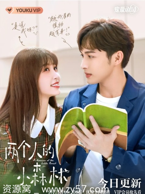 两个人的小森林海报