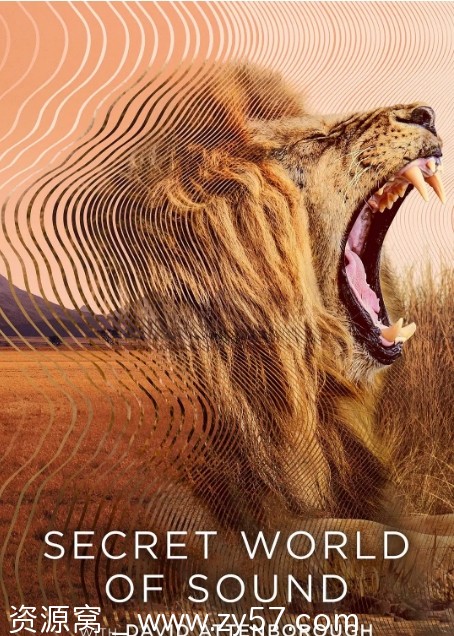 英国纪录片《大卫·艾登堡大自然的声音2024》豆瓣评分8.6高清分享 - 零零盘