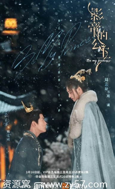 影帝的公主海报