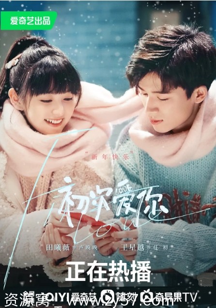 初次爱你 海报