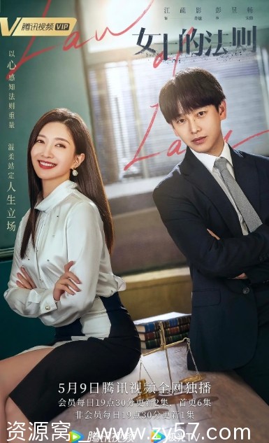女士的法则海报