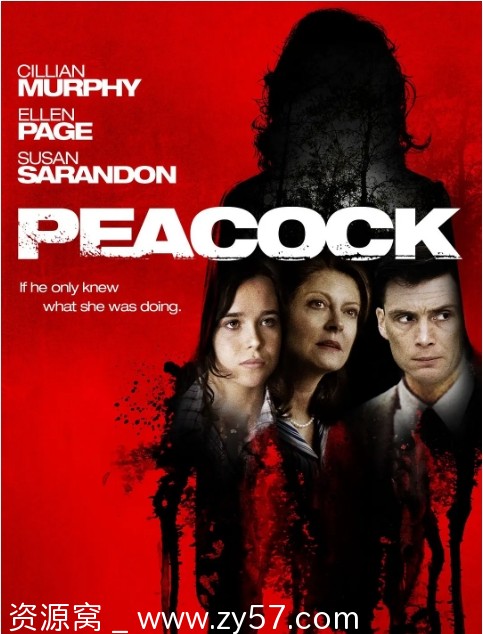 电影《孔雀镇》海报