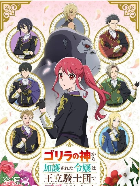 日剧推荐受猩猩神庇护大小姐皇家骑士团宠爱2025动漫 - 零零盘