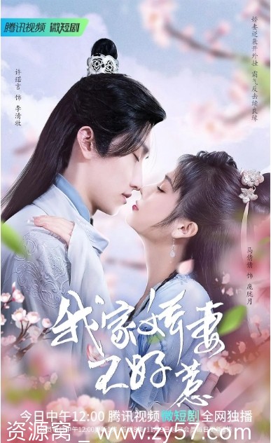 我家娇妻不好惹海报