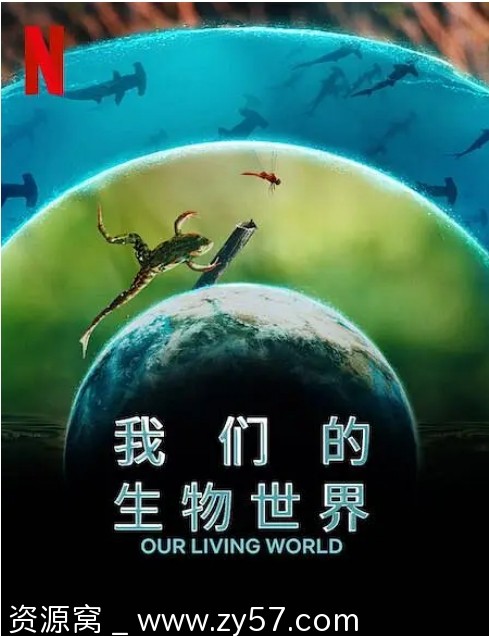 英国纪录片《我们的生物世界》（2024）豆瓣8.3评分 免费资源分享 - 零零盘