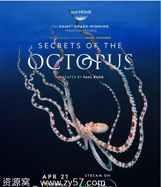 澳大利亚纪录片《章鱼的秘密》（2024）豆瓣8.4 资源分享 - 零零盘