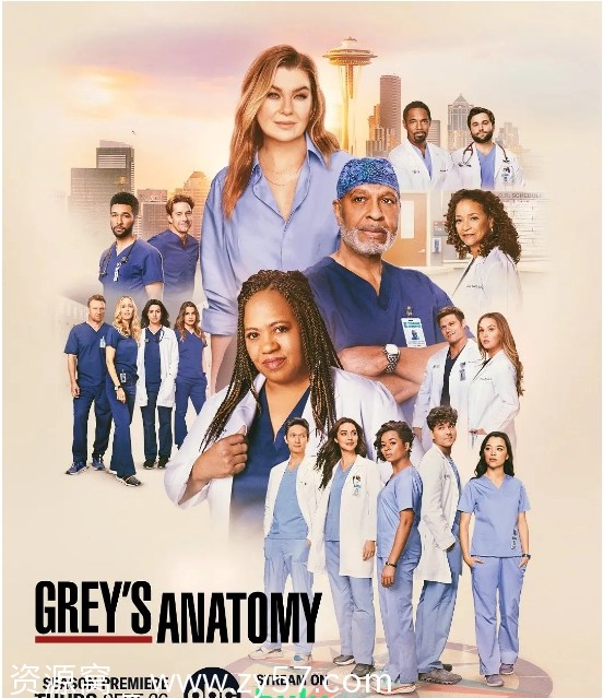 美剧实习医生格蕾1-21季全集剧情解析/情感剧情豆瓣7.8 - 零零盘