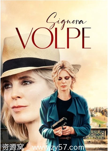 狐狸女士 第一季海报