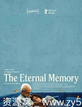 永恒的记忆电影海报
