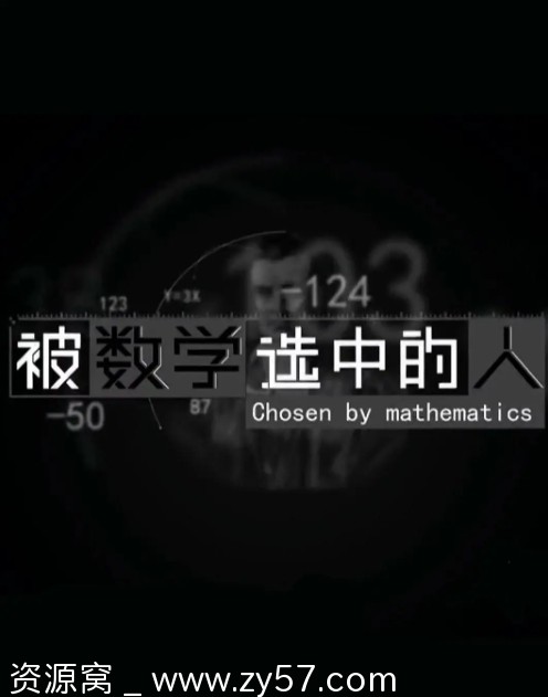被数学选中的人海报